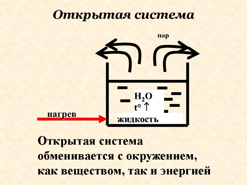 Открытая система обменивается с окружением, как веществом, так и энергией Открытая система